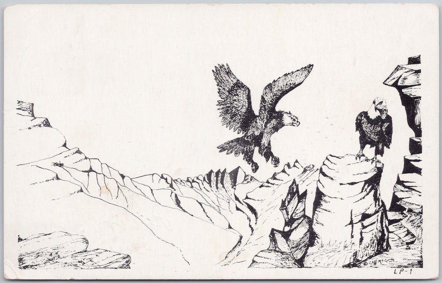 Cliff McCurdy Artist Birds Eagle Lone Packer Artist Scenes Along Trail Postcard