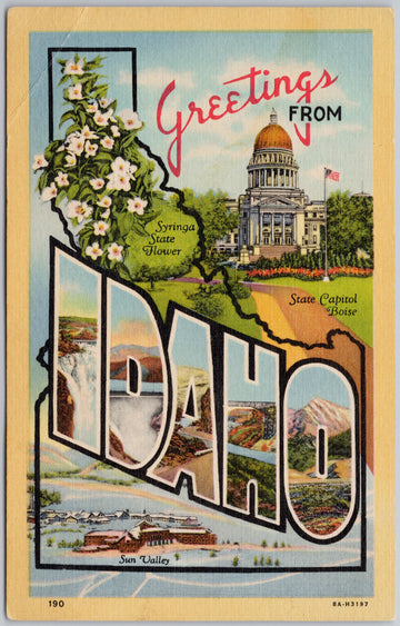 Greetings from Idaho ID Large Letter USA Postcard 