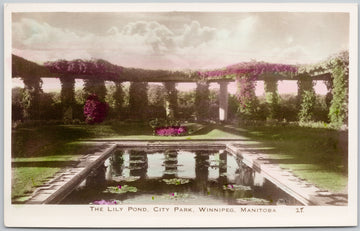 Lily Pond City Park Winnipeg Manitoba Postcard 