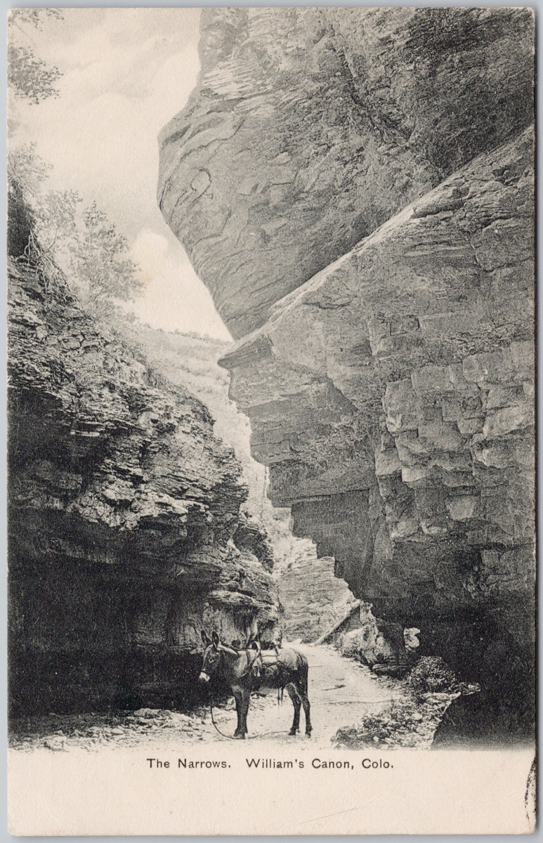 The Narrows William's Canon Colorado  Postcard 