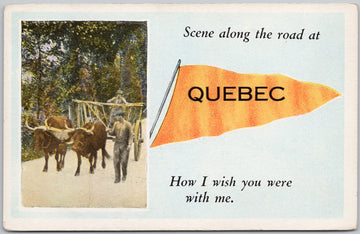 Quebec QC Orange Pennant Canada Oxen Scene Along The Road Postcard 