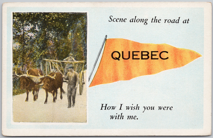 Quebec QC Orange Pennant Canada Oxen Scene Along The Road Postcard 