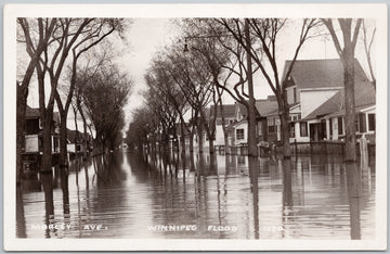 1950 Flood Winnipeg Manitoba Morley Avenue Postcard 