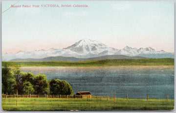 Mount Baker WA from Victoria BC Postcard 