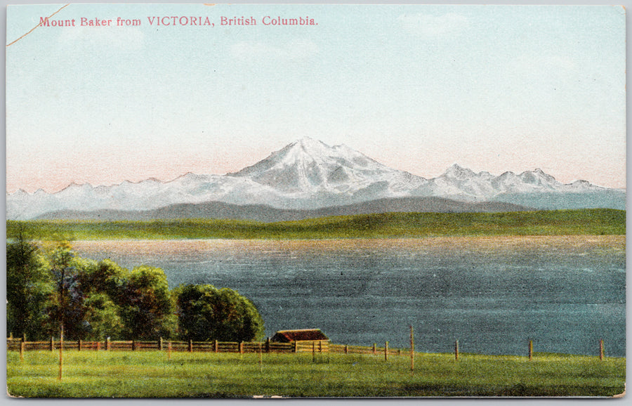 Mount Baker WA from Victoria BC Postcard 