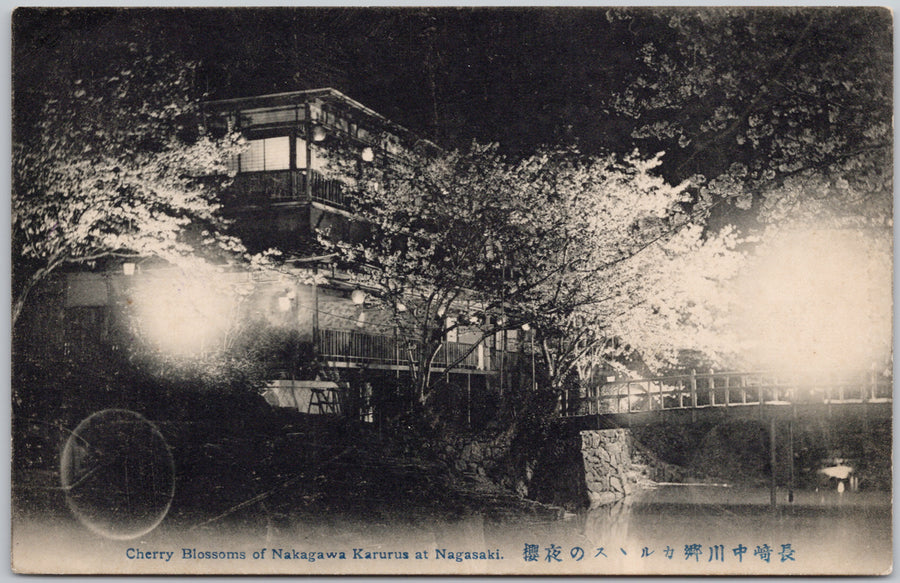 Cherry Blossoms of Nakagawa Karurus at Nagasaki Japan Postcard 