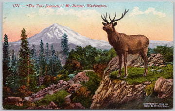 The Two Sentinels Mt Rainier Washington WA Deer Wildlife Postcard 