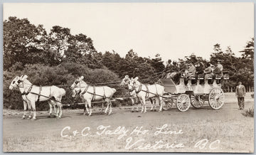 Victoria BC C&C Tally Ho Line Vancouver Island Postcard 