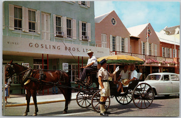 Hamilton Bermuda Front Street Gosling Bros Store Postcard 