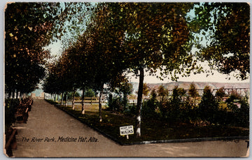 Medicine Hat Alberta The River Park  Postcard 