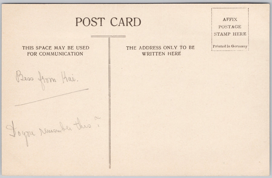 Lone Tree Macaulay Point Victoria BC British Columbia Canada Postcard SP19