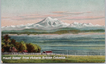 Mount Baker from Victoria BC Canada Postcard 