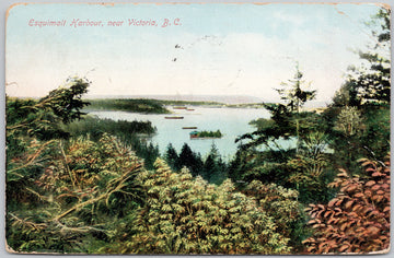 Esquimalt Harbour from Victoria BC Canada Postcard 