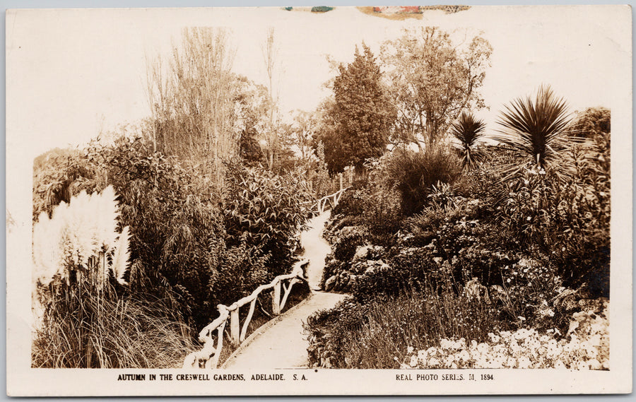 Adelaide Australia Autumn in Creswell Gardens Valentine RPPC Postcard