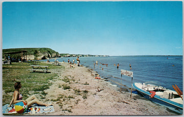 Vacationland Springfield SD Postcard