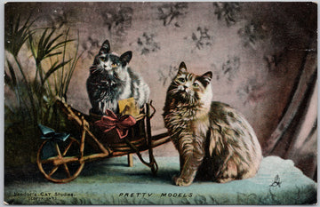 Two Cats Pretty Models Landor's Cat Studies Tuck Postcard