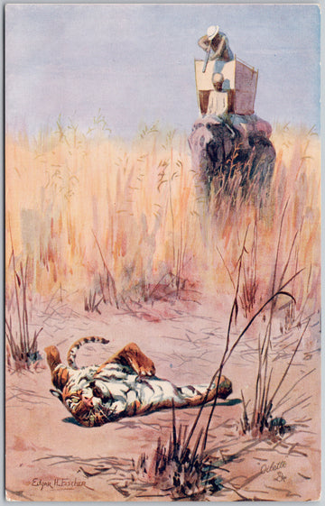 Tiger Hunting Hunter on Elephant Edgar Fischer Artist No 8780 Tuck Postcard 