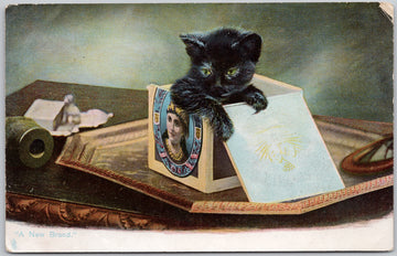 Black Kitten Cat A New Brand Animal No 1418 Tuck Kittendom Postcard 