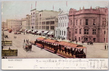 Main Street Winnipeg MB Postcard