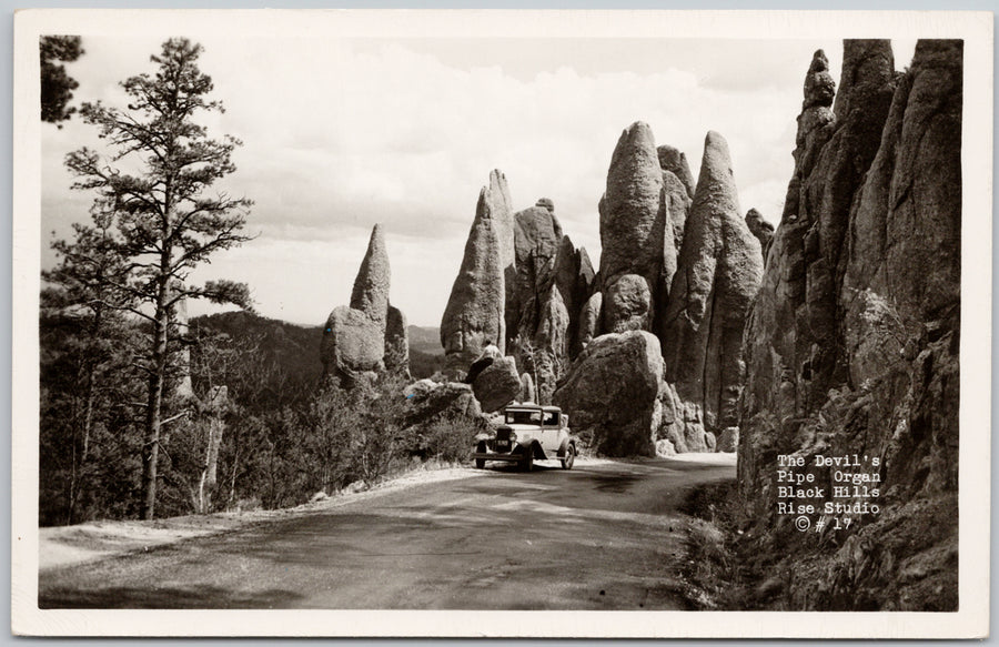 The Devil's Pipe Organ Black Hills South Dakota Postcard