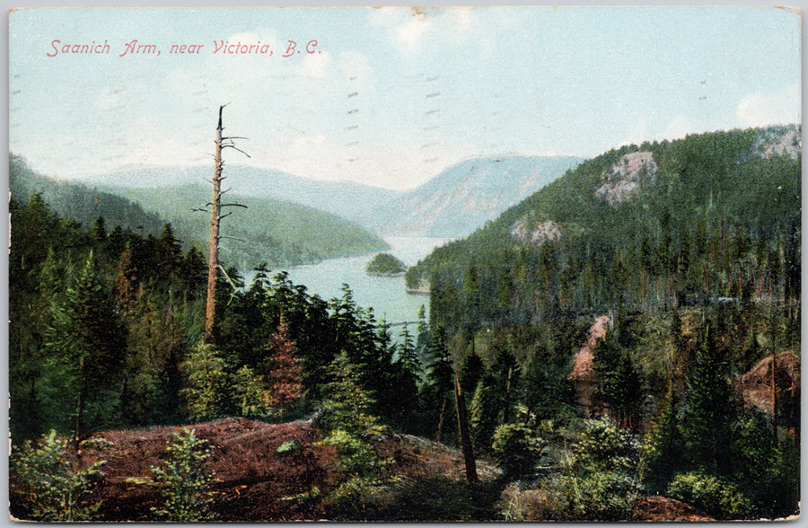 Saanich Arm near Victoria BC Vancouver Island 1909 Postcard