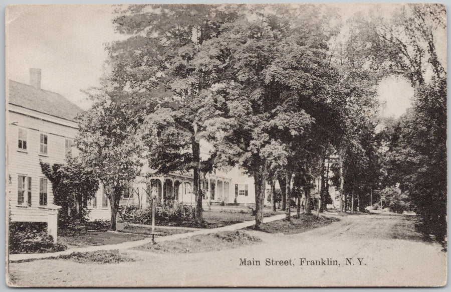 Main Street Franklin NY New York B. Manzer Postcard 