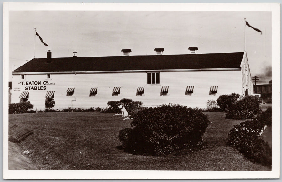 T. Eaton Co Stables Winnipeg Manitoba Postcard 