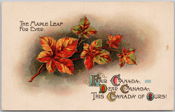 The Maple Leaf For Ever Fair Dear This Canada of Ours Patriotic Postcard 