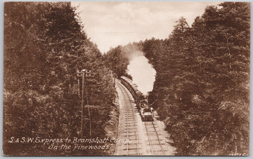 L & SW Express to Bramshott Camp Train Carrying Soldiers Witley In The Pinewoods WW1 Frith's Postcard 