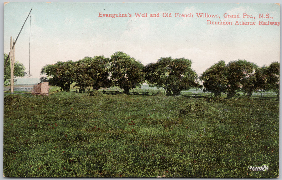 Evangeline's Well And French Willows Grand Pre NS Nova Scotia Dominion Atlantic Railway Unused Postcard