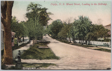 Mount Street Digby NS Nova Scotia Unused McBride Postcard 