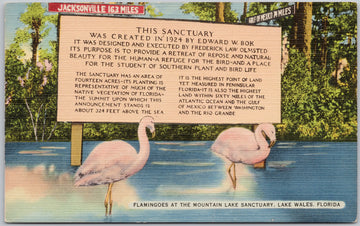 Flamingoes Mountain Lake Sanctuary Lake Wales Florida USA Linen Postcard 