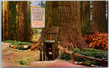 World Famous Tree House Redwood Highway nr Laytonville CA USA Postcard 