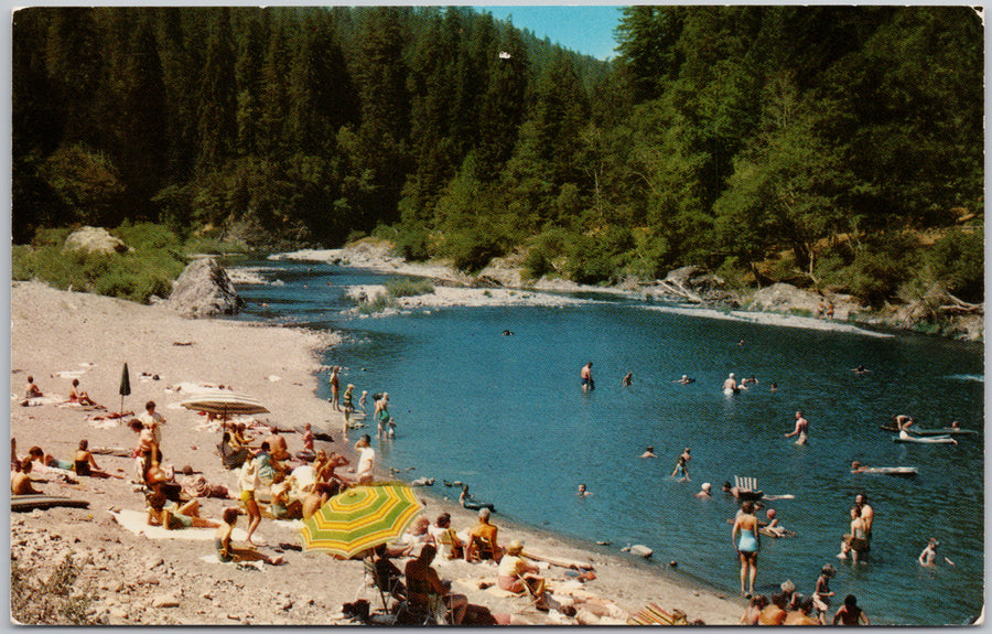 Richardson Grove Beach California Eel River CA USA Postcard 