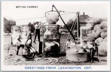 Leamington Ontario Ball Mason Jars Getting Canned Exaggerated Canning Peaches Agriculture Ball Jars Postcard 