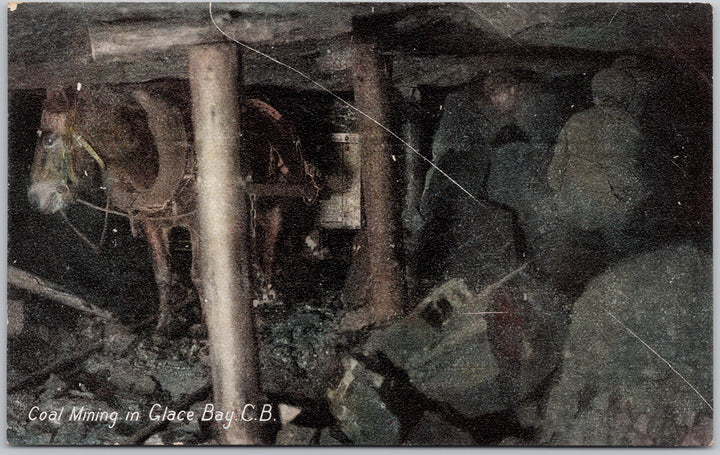 Coal Mining in Glace Bay Cape Breton NS Nova Scotia Mule Postcard