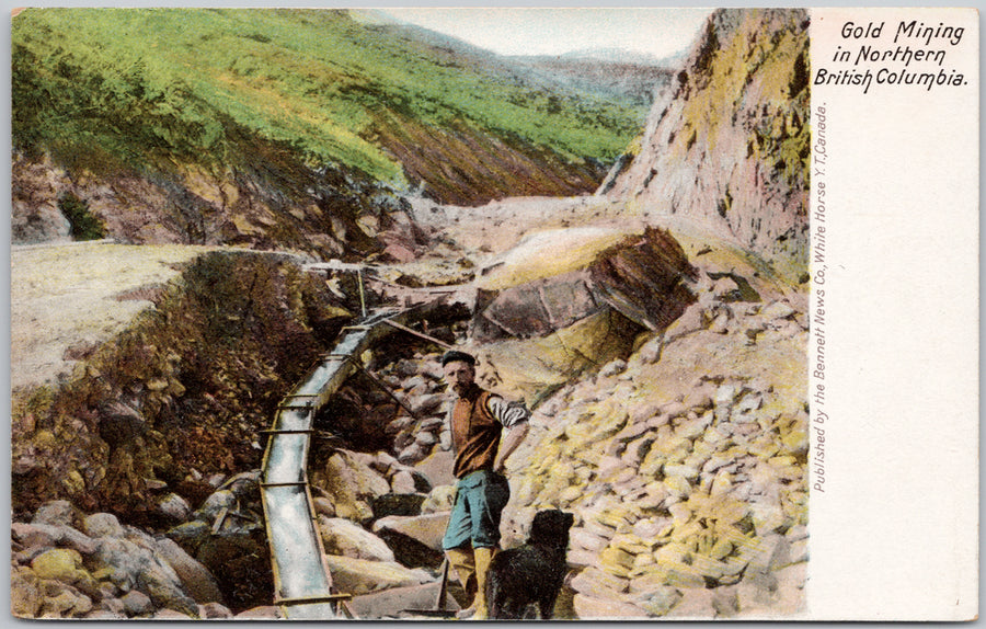 Gold Mining in Northern British Columbia BC Unused Bennet News Postcard