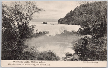 Hinemoa's Bath Mokoia Island New Zealand NZ Rangatira Series Postcard