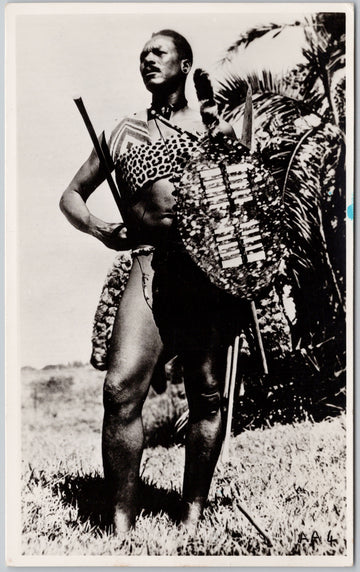 Zulu Warrior with Shield South Africa Lynn Acutt Postcard 