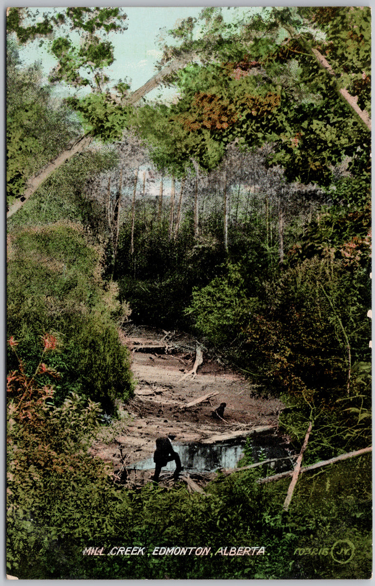 Edmonton Alberta Mill Creek AB Canada Unused Postcard 