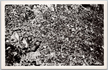 Trail of 98 White Pass Alaska AK USA Dedman RPPC Postcard 