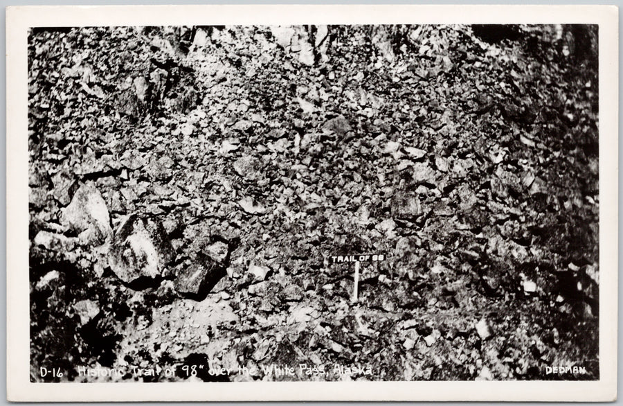 Trail of 98 White Pass Alaska AK USA Dedman RPPC Postcard 