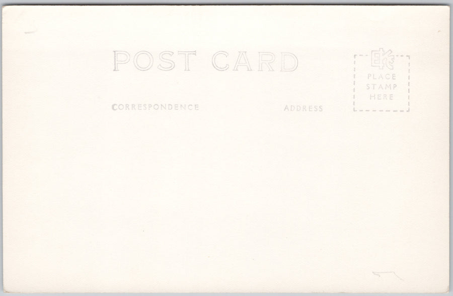 Trail of 98 White Pass Alaska AK USA Dedman RPPC Postcard SP21