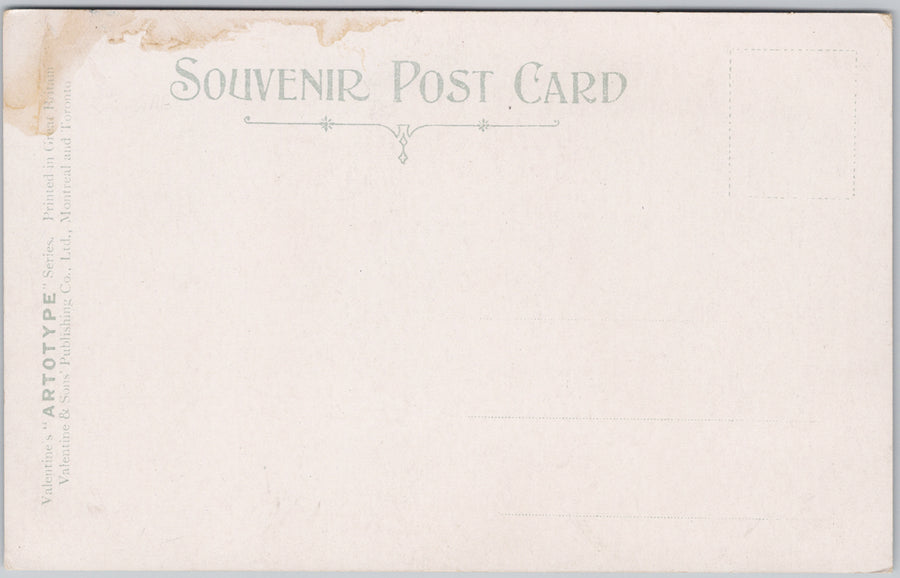 Horse Chief of Ponca Indians Indigenous People USA Postcard SP21