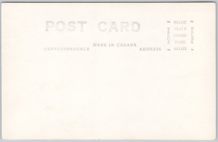 Northern Woolly Mammoth American Museum of Natural History Canada RPPC Postcard SP21