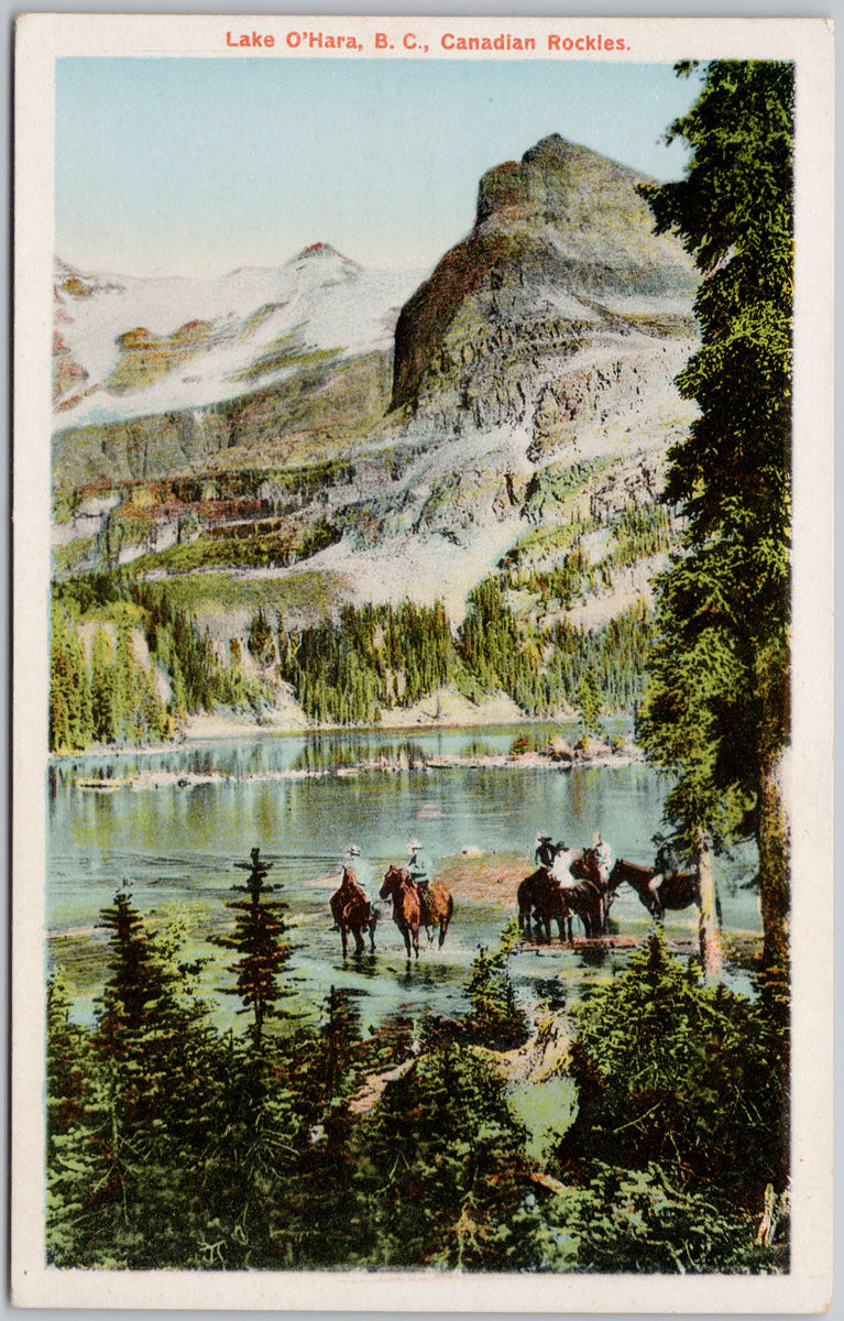 Lake O'Hara BC Postcard
