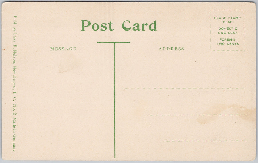 New Denver BC Kootenay Region British Columbia Chas Nelson Postcard SP21