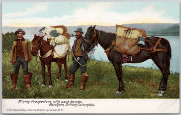 Mining Prospectors with Pack Horses Northern British Columbia Postcard 