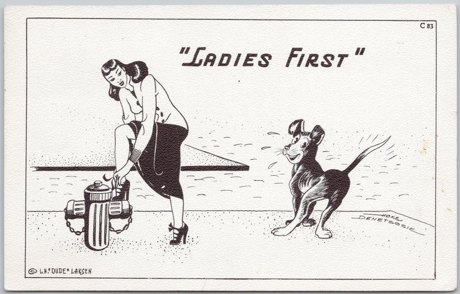 Hoke Denetsosie Artist Ladies First Woman Dog Fire Hydrant Humour Comic USA Dude Larsen Postcard