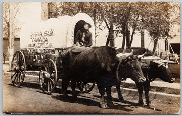 Charles Wassem 1914 Oxen Team Wagon Solo Trip from Regina SK to Belleville Illinois RPPC Postcard 